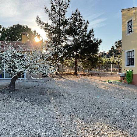 La Antigua Casa Del Astronomo Casa Rural Ricote Dış mekan fotoğraf