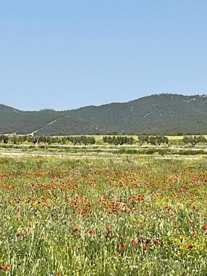 La Antigua Casa Del Astronomo Casa Rural Ricote Dış mekan fotoğraf