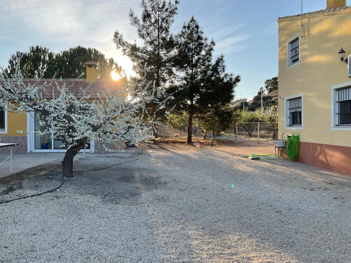 La Antigua Casa Del Astronomo Casa Rural Ricote Dış mekan fotoğraf